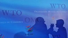 “미중 무역 충돌 원인은 中의 WTO 위반 때문”
