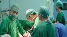 윤리단체, ‘中외과의사 국제 장기이식 컨퍼런스’ 발표 비난