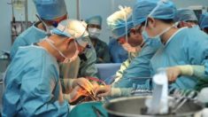 中 이식전문 의사들, 파룬궁수련자 ‘강제 장기적출’ 인정