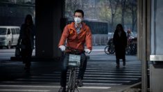 [오피니언] 존 롭슨 “‘깨끗한, 녹색 개발’이라는 중국의 망상”