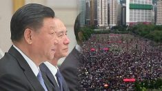 [단독] “시진핑, 18일 홍콩 시위 생중계로 시청…사태 해결 구체적 지시”