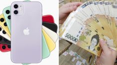 결국 한국만 ‘빼고’ 전세계적으로 아이폰11 가격 인하한 애플