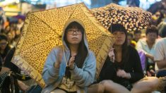 “홍콩 시위대는 높고 단단한 담벼락에 맞서는 계란들”…무라카미 하루키식 비유 담긴 조형물