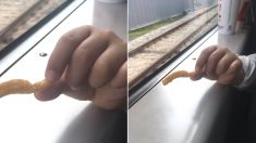 “고향 내려가는 기차 안에서 앞자리 아기한테 ‘감자튀김’ 선물 받았어요”
