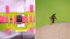 말라리아 환자 위해 발명한 ‘600원짜리’ 현미경을 실제 사용해 본 유튜버