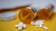 미국 식품의약청·마약단속국, 오피오이드 온라인 불법 판매에 제동