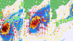 진짜 절묘하게 일본만 휩쓸 것으로 보이는 제19호 태풍 ‘하기비스’ 예상 경로