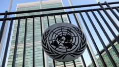 “유엔, 반체제인사 명단 中에 넘겨” 폭로한 내부고발자 “유엔이 보복”