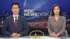 뉴스 클로징 멘트에서 일본군 ‘위안부’ 언급하며 ‘작은 소녀상’ 올려놓은 앵커