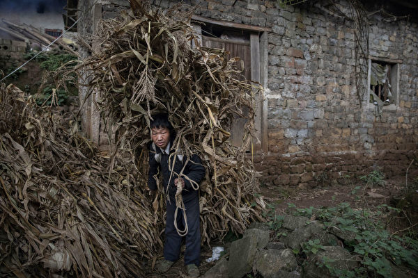 귀저우 묘족 농민이 지게로 짐을 옮기고 있다. | Kevin Frayer/Getty Images