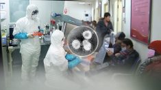 태국 이어 일본에서도 ‘우한 폐렴’ 환자 발생…중국 국적 30대