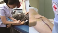 “군대에서 헌혈한 우리 아들 피 뽑은 간호사가 코로나 확진 받았어요”