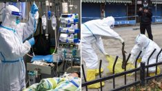 “코로나 바이러스, 수산시장 아닌 ‘중국 실험실’에서 최초 유출됐다”