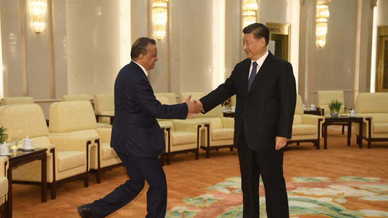 시진핑 중국 국가주석(오른쪽)이 지난 1월 28일 베이징 인민대회당에서 테워드로스 아드하놈 거브러여수스 세계보건기구(WHO) 사무총장을 만나 악수하고 있다. | AP=연합