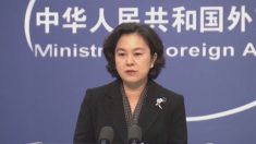 中 공산당 외교부 대변인 “중국인은 왜 페북·트위터 못 쓰나” 발언 논란
