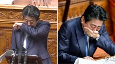 국회 연설 중 터져나오는 ‘기침’ 못 참고 고개 숙인 일본 아베 총리 (영상)