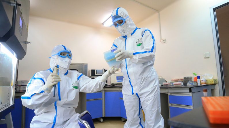 중국 허난성의 한 연구소에서 바이러스 샘플을 검사하고 있다. 2020.2.19 | STR/AFP via Getty Images