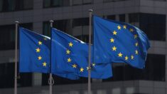 EU “책임 피하려 허위정보 유출” 中 정권 재평가 움직임