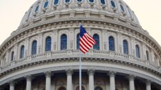 미국 워싱턴 국회의사당 ‘세계 파룬따파의 날’ 기념 성조기 게양