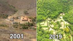 황무지에 20년간 ‘나무 400만 그루’ 심은 부부가 가져온 ‘초록빛 기적’