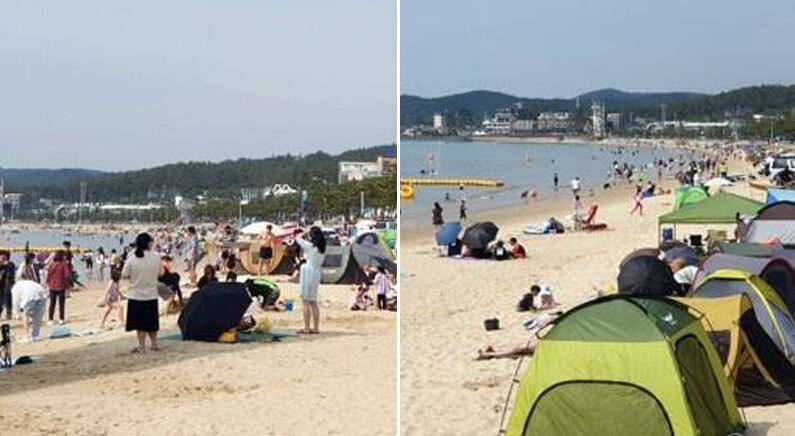 지난 6일 방문객으로 북적이는 만리포해수욕장 | 연합뉴스