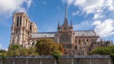 ‘파리 노트르담 대성당’ 깜짝 재개장, 1년 만에 돌아온 세계적 보물