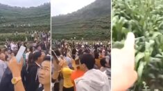 중국 땅속에서 10일 넘게 지속된 괴이한 ‘울음소리’ (영상)