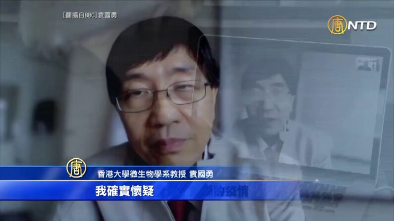 홍콩 전염병 권위자인 위안궈융 홍콩대 미생물학과 교수가 BBC에 중공의 코로나19 은폐를 사실을 밝혔다. | NTD  화면 캡처 
