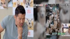 한 공장에 갇혀 살고 있는 130마리 개들의 참혹한 모습에 할 말 잃은 강형욱