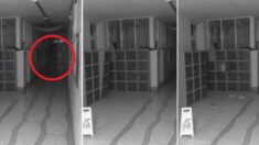 한 중학교 복도 CCTV에서 촬영된 소름 끼치는 현상 (CCTV 영상 2개)
