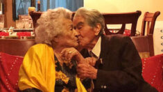 “결혼한 지 79년, 나이 합치면 214살” 기네스 오른 세계 최장수 부부