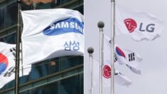 해외수입 의존하는 디스플레이 핵심 장비 ‘국산화’ 위해 삼성과 LG가 드디어 뭉쳤다