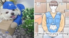 자사 명예 택배견 ‘경태’ 사연을 애니메이션으로 만든 CJ (영상)