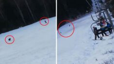 스키장서 맹렬히 뒤쫓아오는 ‘굶주린 곰’을 재치있게 따돌린 남성