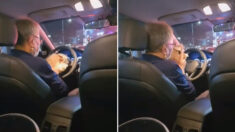 “아니, 강아지가 있으면 미리 말을 하셔야지”라며 정색한 택시기사님(영상)
