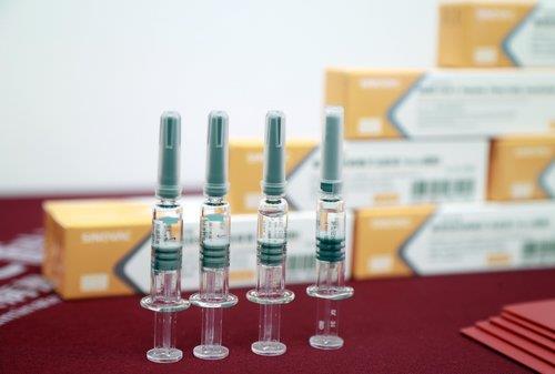 시노백이 개발한 코로나19 백신 '코로나백' | 연합