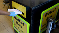 미 네바다주, 우편 투표용지 9만장 잘못된 주소로 발송