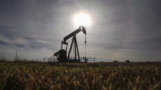 美 13개주, 석유·가스 신규개발 금지한 바이든 정부 제소