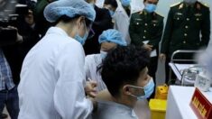 베트남 “올해 안에 첫번째 자체 백신 접종 가능”