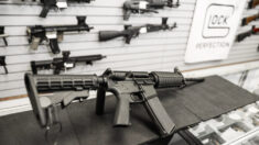 美 아이오와 하원, 허가 없이 총기 구매·소지 법안 통과 