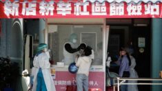 대만은 왜 백신 수급에 실패했나?…病주고 藥도 못사게 하는 중국의 압력