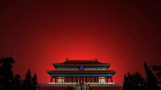 [칼럼] “시간은 우리 편”이라던 시진핑…코로나 기원 조사, 신장 탄압 비판 ‘첩첩산중’