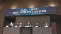글로벌 OTT 국내진입 가속화…“中자본 통한 동북공정 우려”