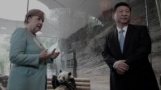 메르켈-시진핑 ‘고별’ 화상회담…中 관영매체 보도서 빠진 두 가지