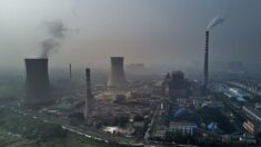 인도네시아 석탄 수출 중단…“화력발전 의존도 큰 중국에 직격탄”