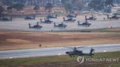 美, 한국에 공격헬기·포병대대 본부 상시 주둔…‘中 견제 목적’