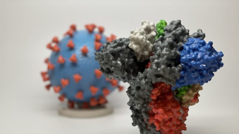 중공 바이러스(뒤)와 스파이크 단백질(앞)의 3D모델 |  NIAID/RML