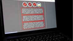 우크라이나, 정부 홈페이지 마비…“러시아 사이버 공격” 주장