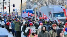 “강제 접종 반대” 캐나다 트럭운전사 시위, 미·영·네덜란드·뉴질랜드 확산