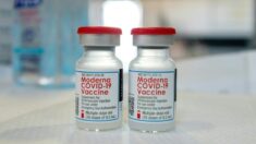 미 CDC ‘코로나19 백신 접종자 입원률·감염률 급증’